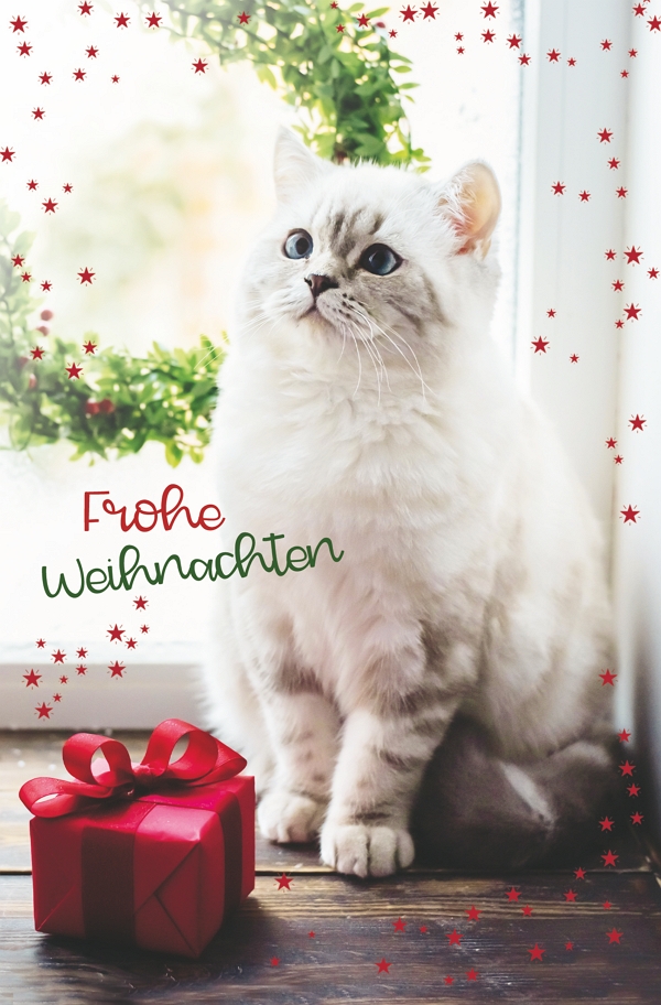100 Klappkarten (OP) Weihnachten, DIN C6  