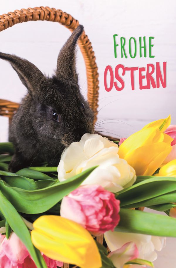 100 Klappkarten (OP) Ostern, DIN C6 