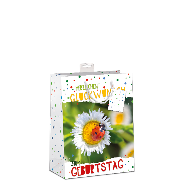 2 x 5 Tüten, Buchformat, Geburtstag Mix UVP 1,95 €  