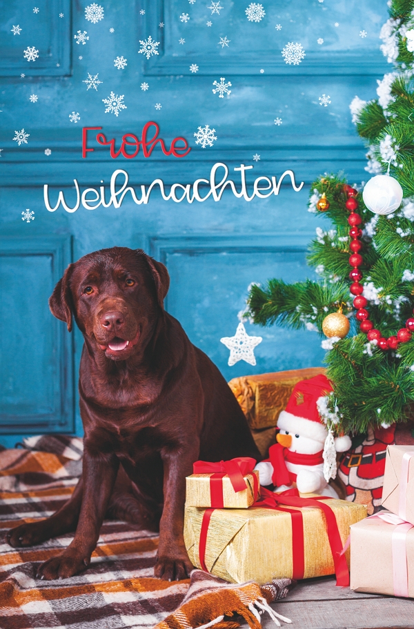 100 Klappkarten (OP) Weihnachten, DIN C6  