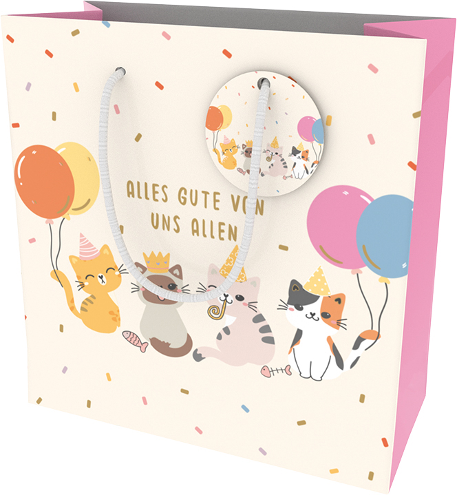 Tüte CD-Format  Kopie