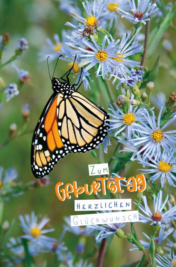 100 Klappkarten (OP) Geburtstag, DIN C6