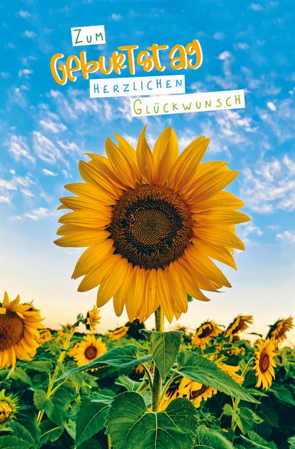 100 Klappkarten (OP) Geburtstag, DIN C6
