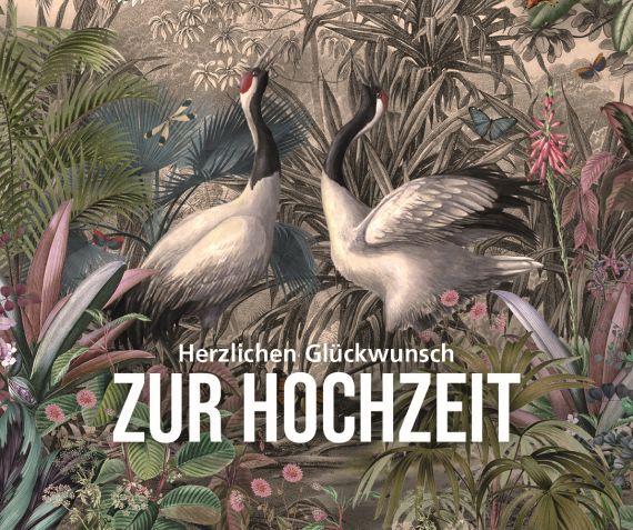 72 Midikarten im Pappdisplay (OP) 7,6 x 9,2 cm