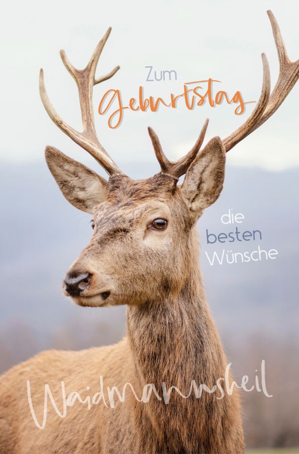100 Klappkarten (OP) Geburtstag Männer, DIN C6 