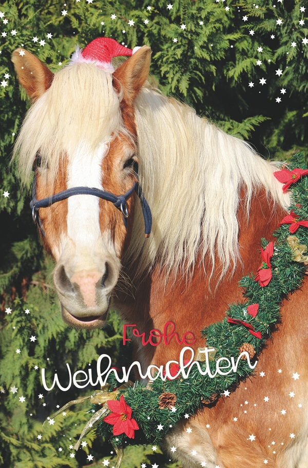 100 Klappkarten (OP) Weihnachten, DIN C6  