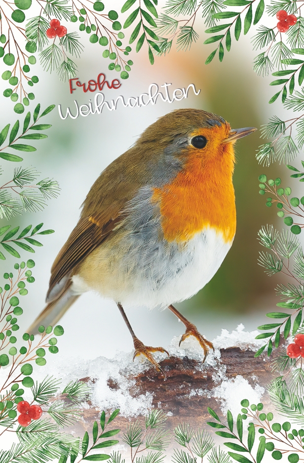 100 Klappkarten (OP) Weihnachten, DIN C6  