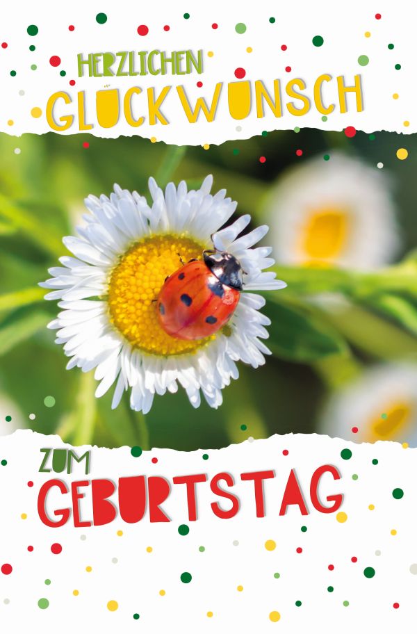 100 Klappkarten (OP) Geburtstag, DIN C6