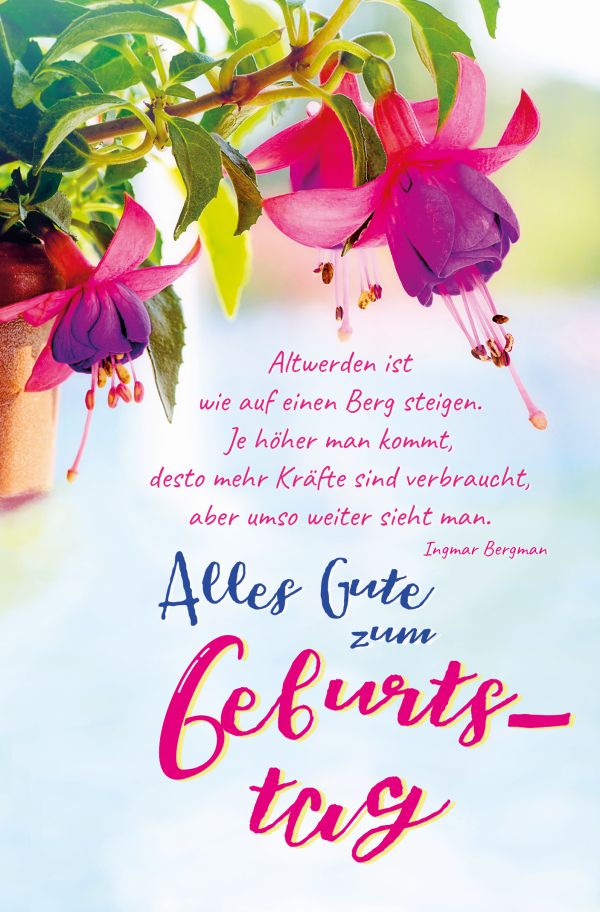 100 Klappkarten (OP) Geburtstag mit Spruch, DIN C6