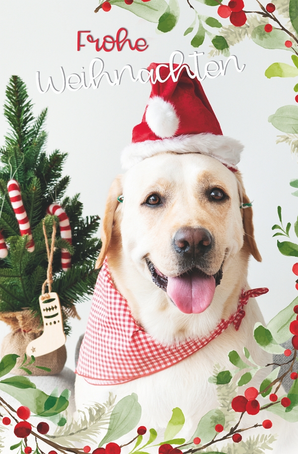 100 Klappkarten (OP) Weihnachten, DIN C6  