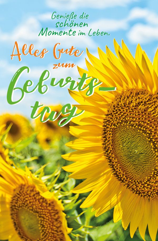 100 Klappkarten (OP) Geburtstag mit Spruch, DIN C6